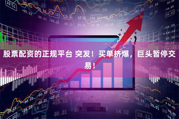 股票配资的正规平台 突发！买单挤爆，巨头暂停交易！
