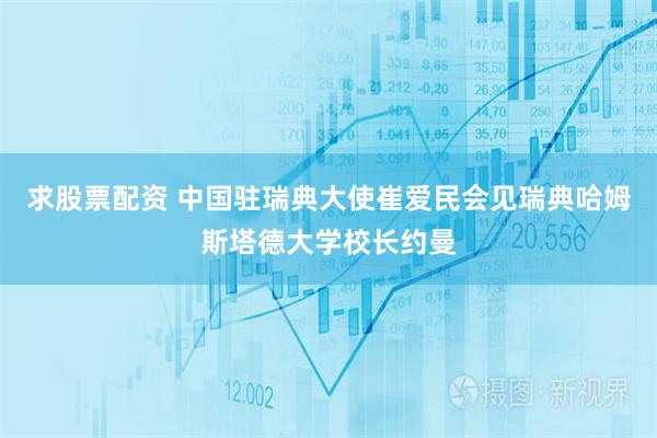 求股票配资 中国驻瑞典大使崔爱民会见瑞典哈姆斯塔德大学校长约曼